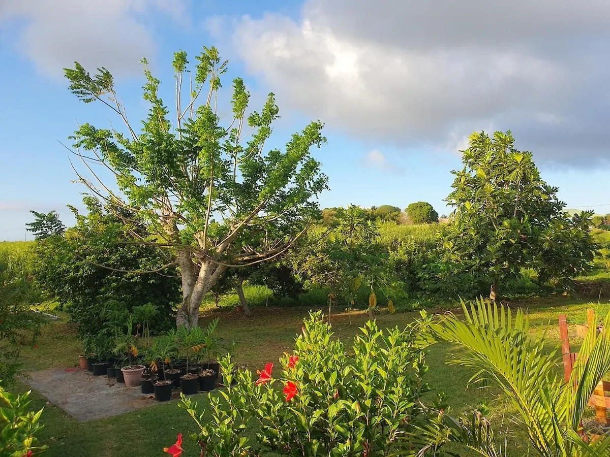 Apartamento Le Jardin D'Elissya Le Moule